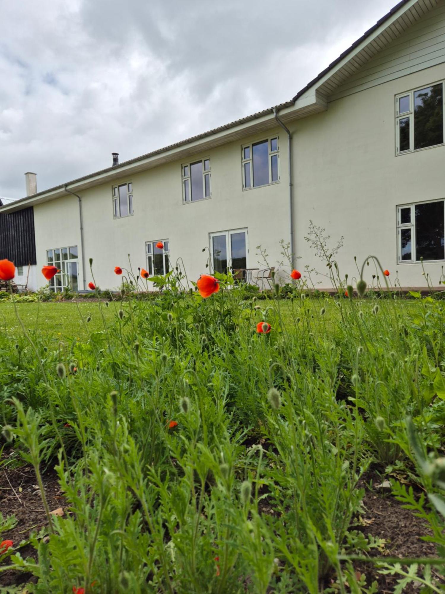Mols Bed & Breakfast Knebel Esterno foto