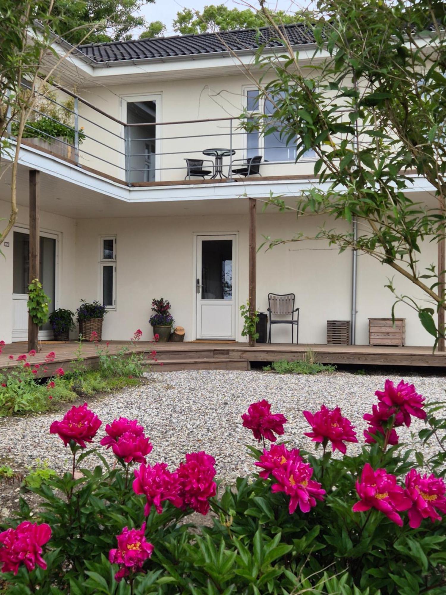 Mols Bed & Breakfast Knebel Esterno foto