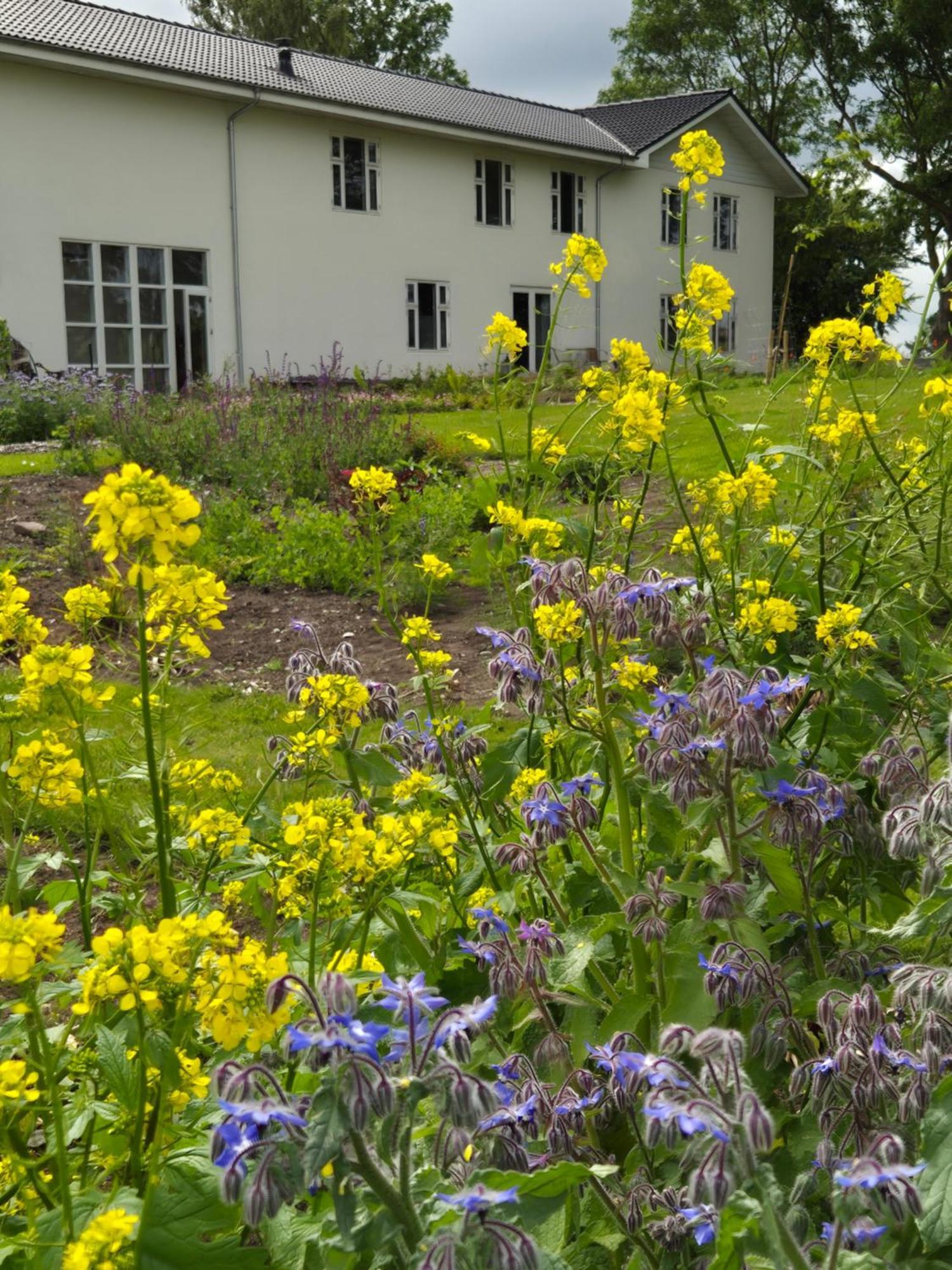 Mols Bed & Breakfast Knebel Esterno foto