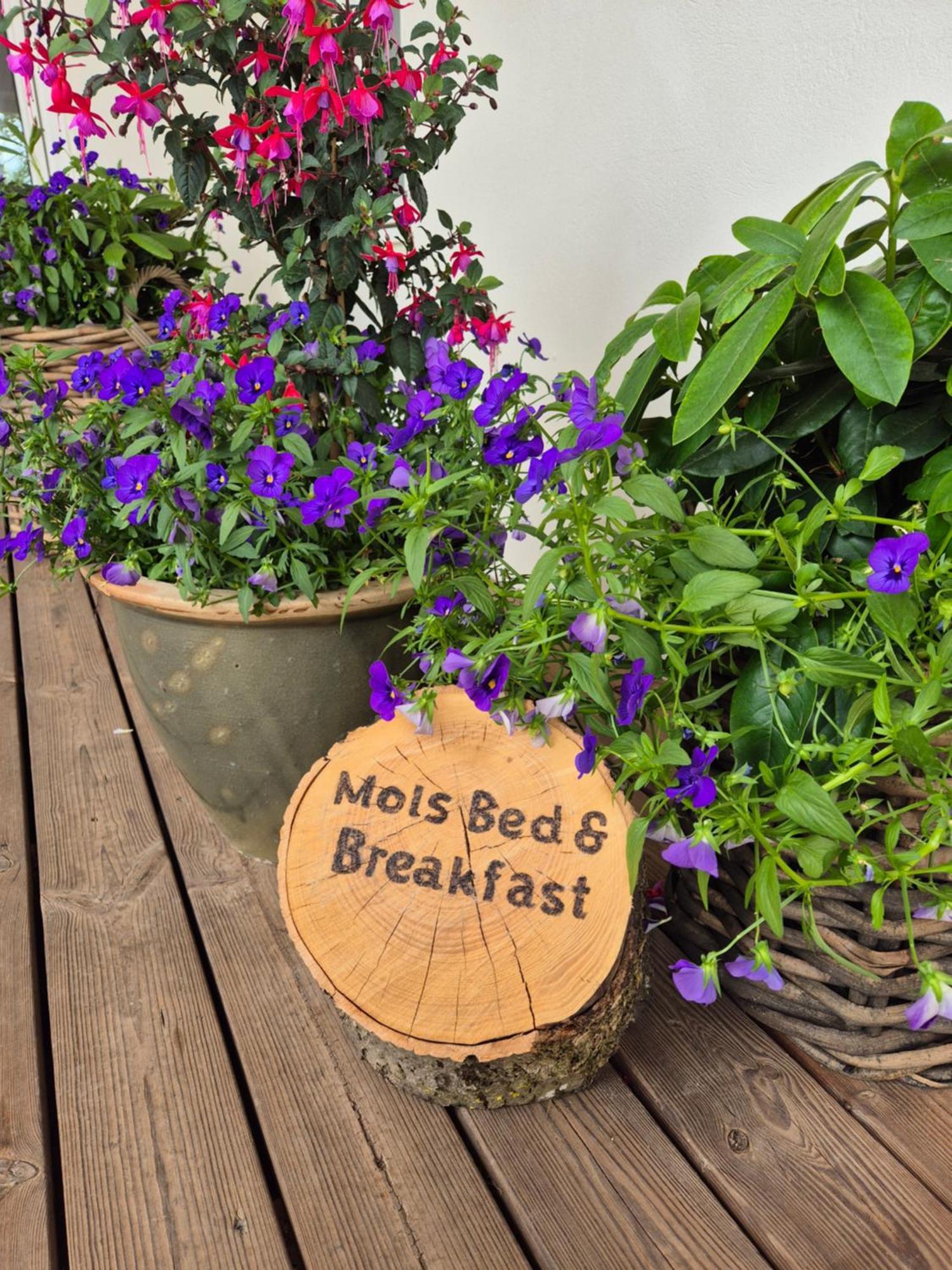 Mols Bed & Breakfast Knebel Esterno foto
